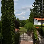 Sodomov فيلة *